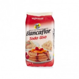 HARINA BLANCAFLOR 1KG TODO USO