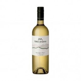 VINO BLANCO TERRA ANDINA 750ML